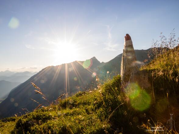 Von der Hütte weg geht es ein Stück der Sonne entgegen.