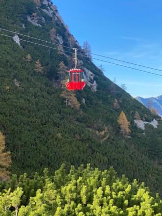 GanslmitServiettenknödel.