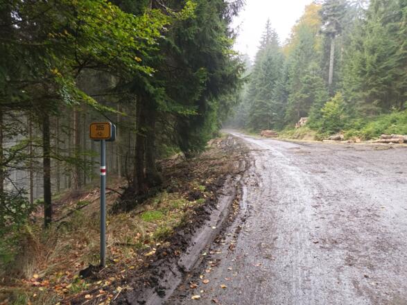 Radweg 2055 mit Wanderwegmarkierung weiß-rot-weiß