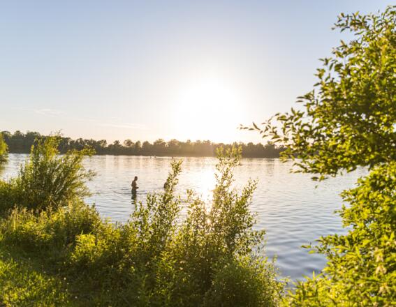 Badende am Olchinger See