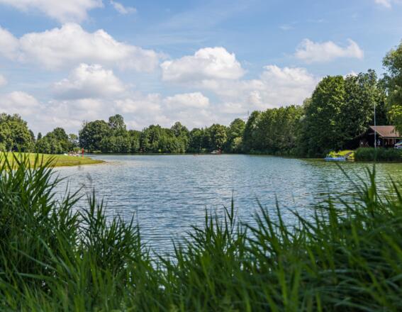 Blick auf den Germeringer See