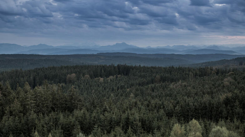 Innviertel_Sommer_Kobernausserwald_Oberoesterreich-Tourismus-GmbH_Robert-Maybach_NEU