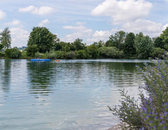 Blick auf die Schwimminsel