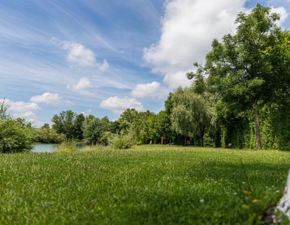 grüne Liegewiese am Eichenauer See