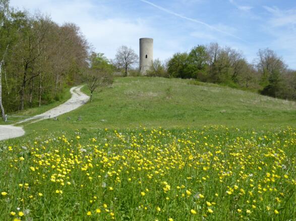 Reichelsburg bei Aub