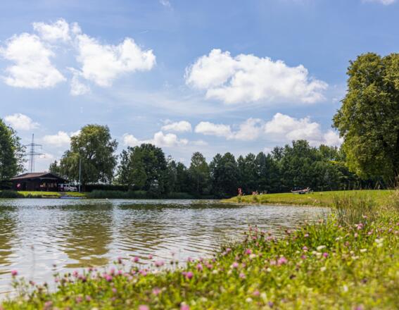 Blumiger Blick auf den Germeringer See