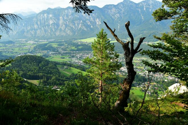 Immer wieder schöne Ausblicke nach Bad Goisern und Umgebung