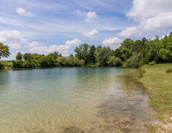Eichenauer See mit Liegewiese