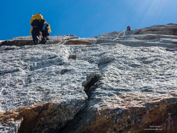 Auch im oberen Teil sind viele Schuppen die Spaß machen.