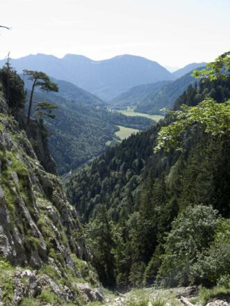 Ausblick vom Gipfelsteig auf das Weidmoos, in dem die Ammer entspringt