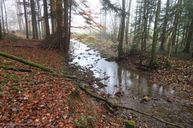 Beim Rückweg müsste man über diesen Bach
