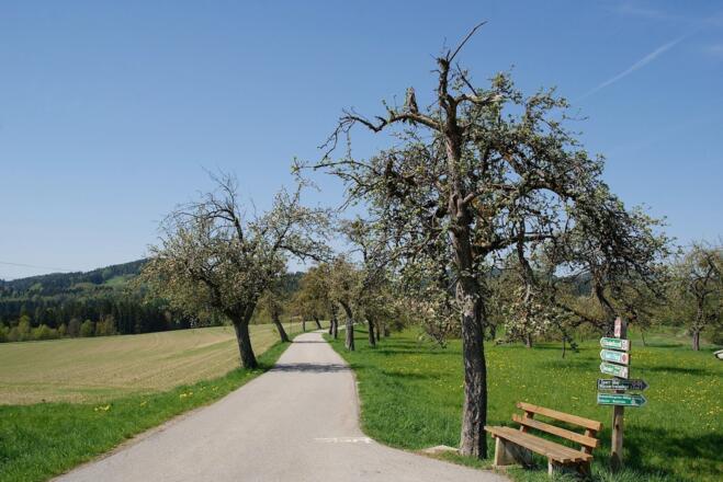Abzweigung rechts zum Wanderweg Nr. 1