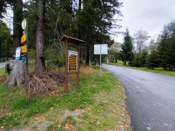 Auffahrt zum Panzer nach der Straßenquerung am Spitzbergsattel