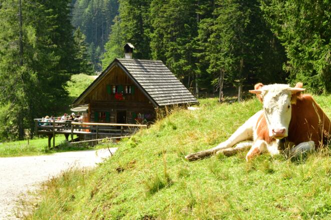 Kurz vor der Abzweigung zur Roßmoosalm