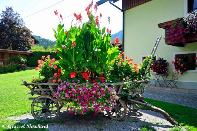 Was für eine Blumenbracht. Mit viel Liebe gemacht.