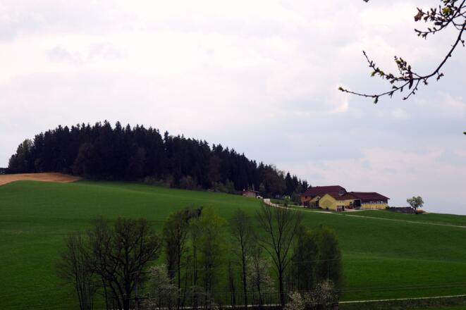 Hamberg von Norden mit Hof