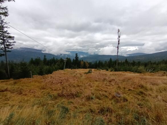 Ausblick vom Panzer nach Südwesten