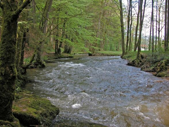 Bogen-/Perlbach vor Untermühlbach