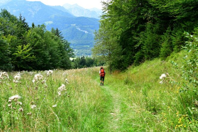 Über Bergwiesen hinunter zur Rathlucka-Hütte