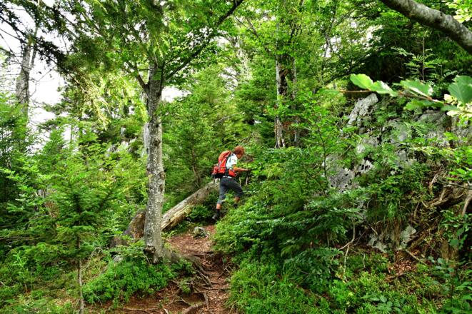 Auf halber Strecke zum Predigstuhl