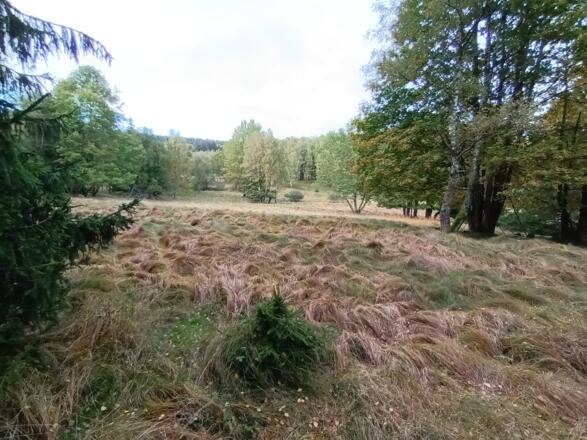 Urige Landschaft in Grenznähe