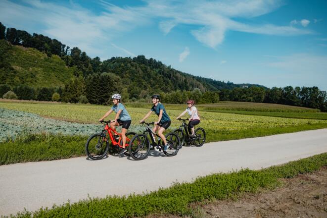 Radtour am Donauradweg Gemüsefeld Pupping Eferding