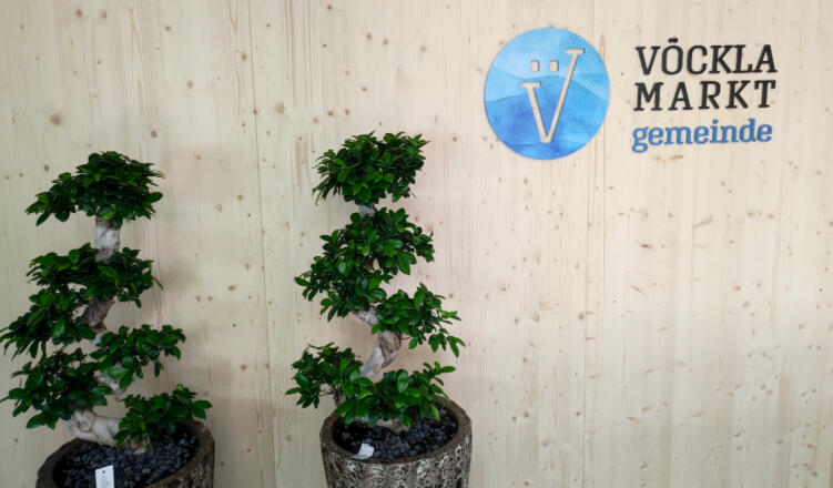 Tür Gemeindeamt Vöcklamarkt