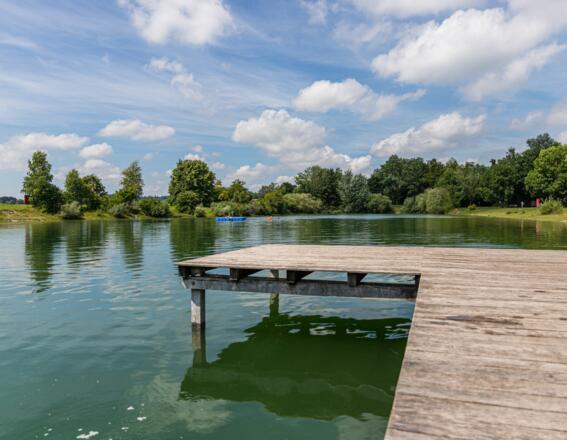 Wassersteg am Eichenauer See