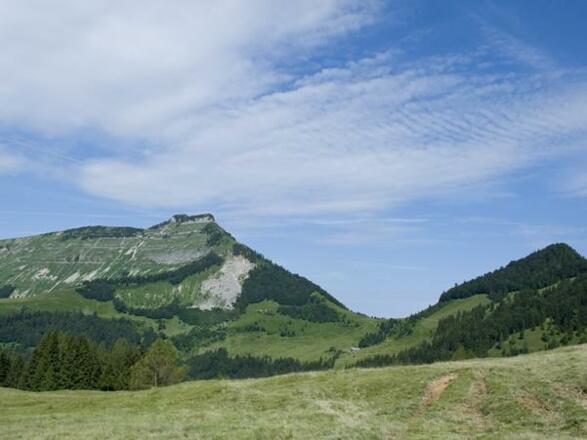 Schmittenstein
