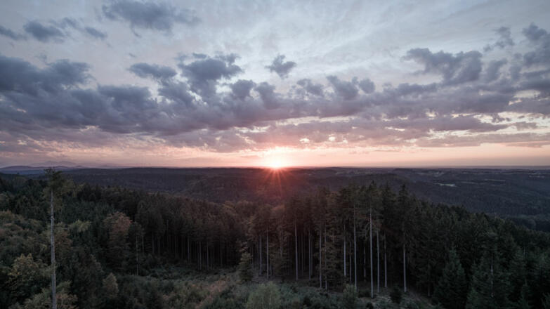Innviertel_Sommer_Sonnenaufgang_Kobernausserwald_Oberoesterreich-Tourismus-GmbH_Robert-Maybach_NEU