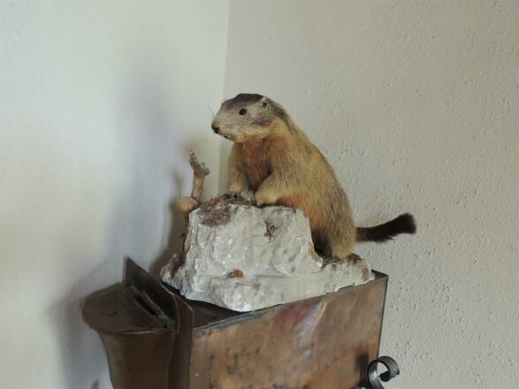 Liebevolle Dekoration