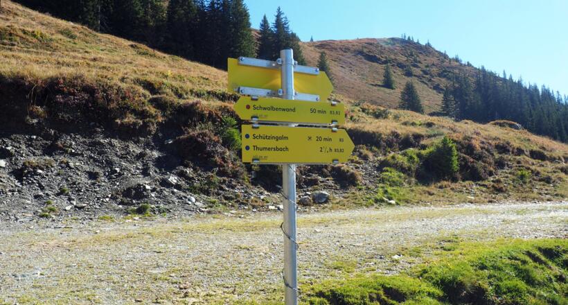 Forststraße ~1800m zur Schützingalm