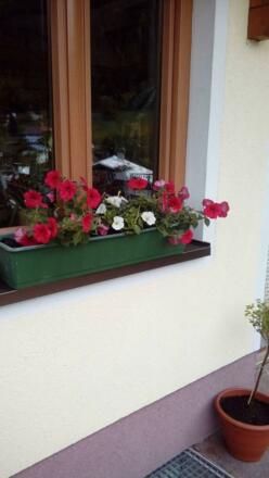 32104561_413326775796309_2894989333972910080_o