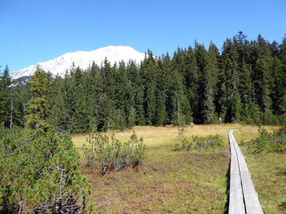 Ein sicherer Holzsteg führt über die Filzwiese. Im Hintergrund leuchtet der Rötelstein ins Tal.