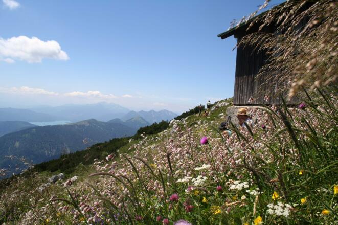 Blick zum Walchensee