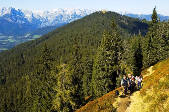 weg-zum-hochgruendeck