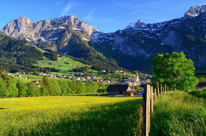 fruehling160513325_web