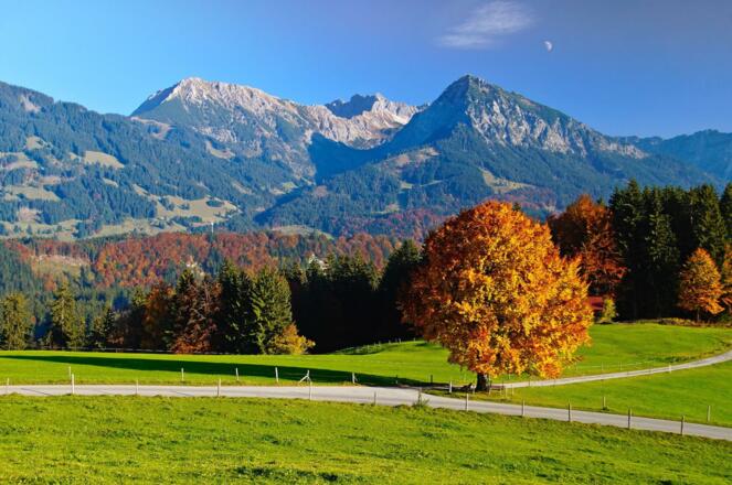 {66c66fc2-d1ac-cbe3-31ad-69a3c238369c}