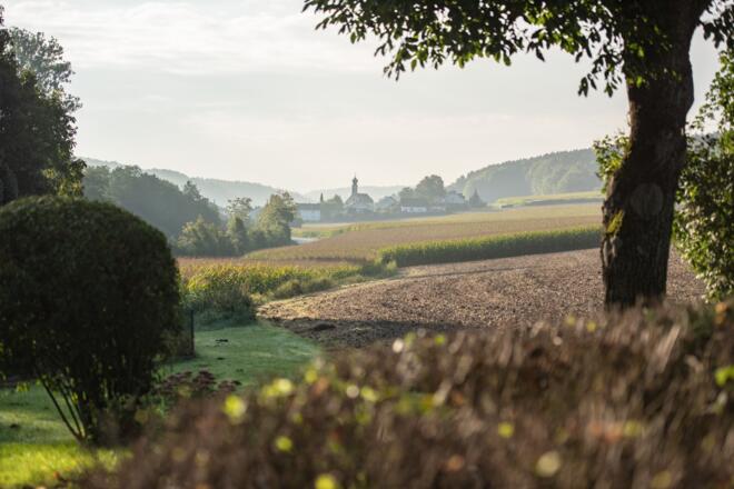 Auf der Feckinger Runde bei Saal a.d. Donau