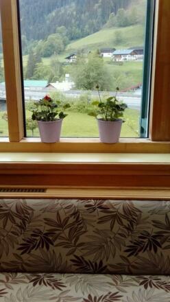 32104496_413326512463002_57435639871700992_o