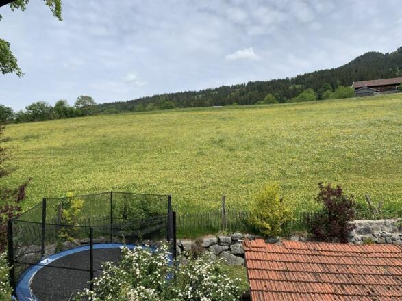Ausblick