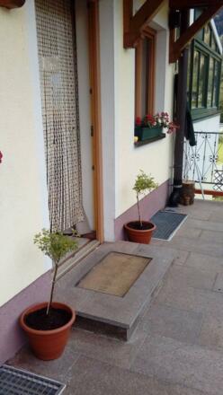 32162178_413326955796291_6406849831234437120_o