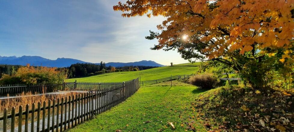 herbst