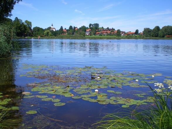 Soier See
