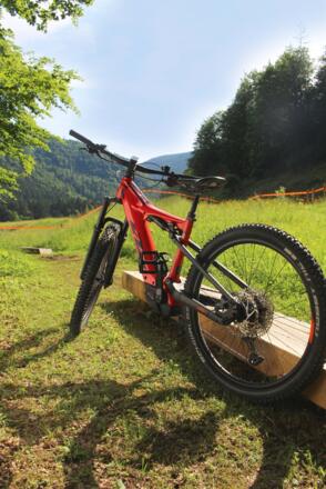 E-MTB