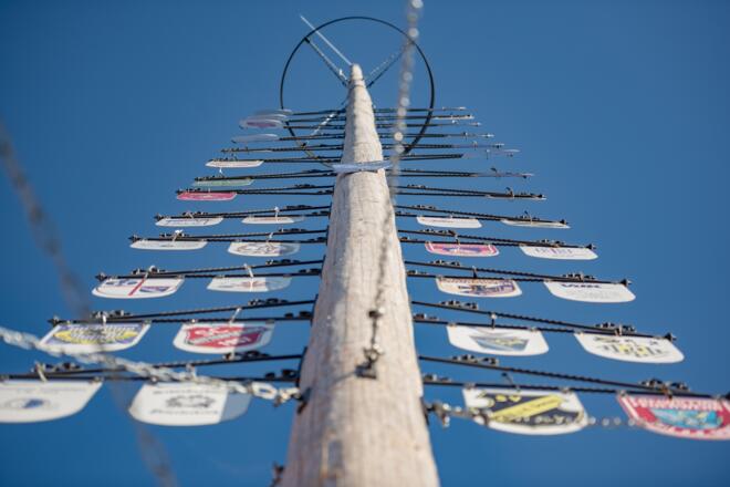 Maibaum in Saal a.d. Donau
