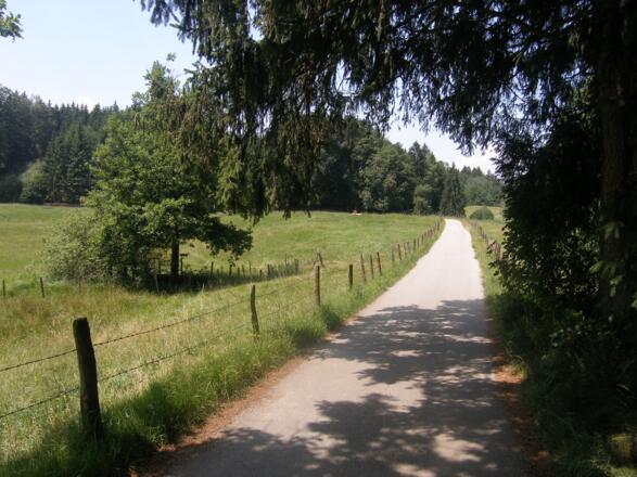 Durch Wiesen führt der Weg zu den Osterseen.