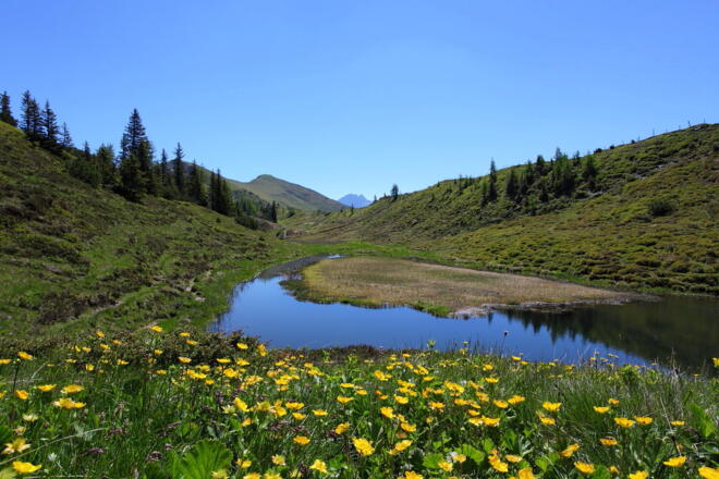 Trögseen