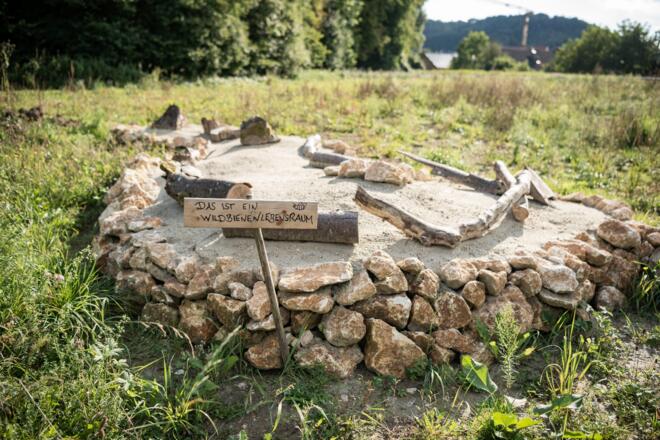 Im "Sandarium" finden Wildbienen Unterschlupf