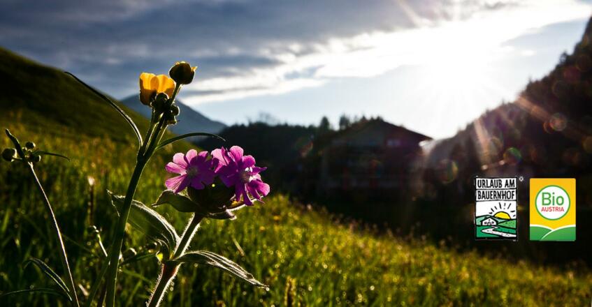 Frühling